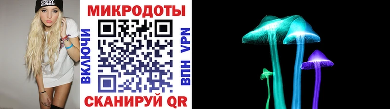 Галлюциногенные грибы прущие грибы  Вольск 